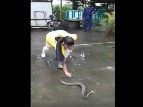 snake snake