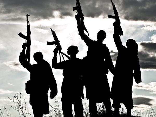 terror terror