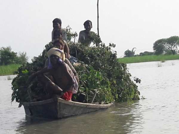 तीन गांवों में लगाई गई नाव, अन्य गांवों में कर रहे व्यवस्था