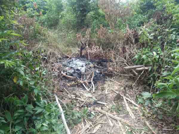 पिता ने कहा जहरीले जीव ने काटा