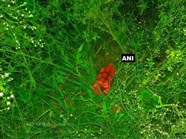 Six bombs found near India-Nepal border in Bahraich district's Rupaidiha in Uttar Pradesh Six bombs found near India-Nepal border in Bahraich district's Rupaidiha in Uttar Pradesh