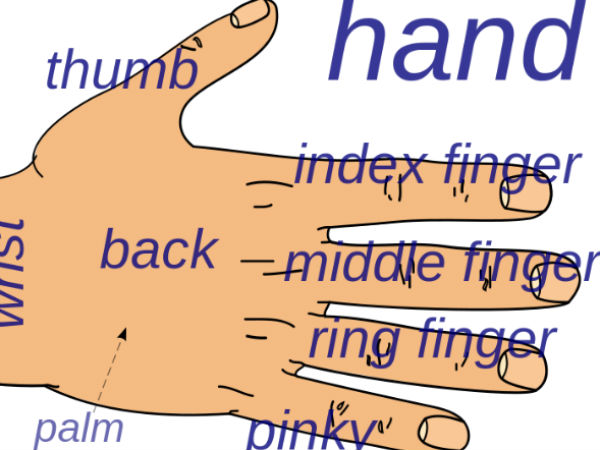 Palmistry: नकारात्मक प्रभाव दिखाता है हथेली पर बना द्वीप Palmistry: नकारात्मक प्रभाव दिखाता है हथेली पर बना द्वीप
