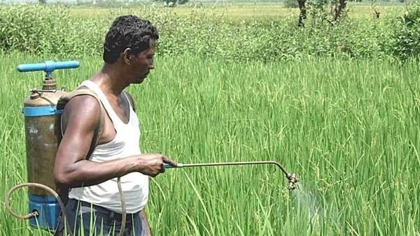 Merchants are selling non-standard and fake drugs to farmers