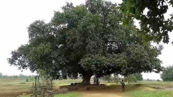 Difficulties without building