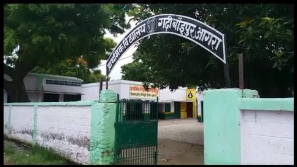 From the village to the middle of the school, where the forest keeps flirting