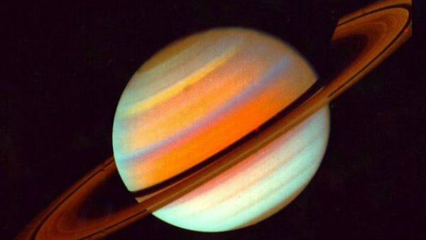 Venus Behavior