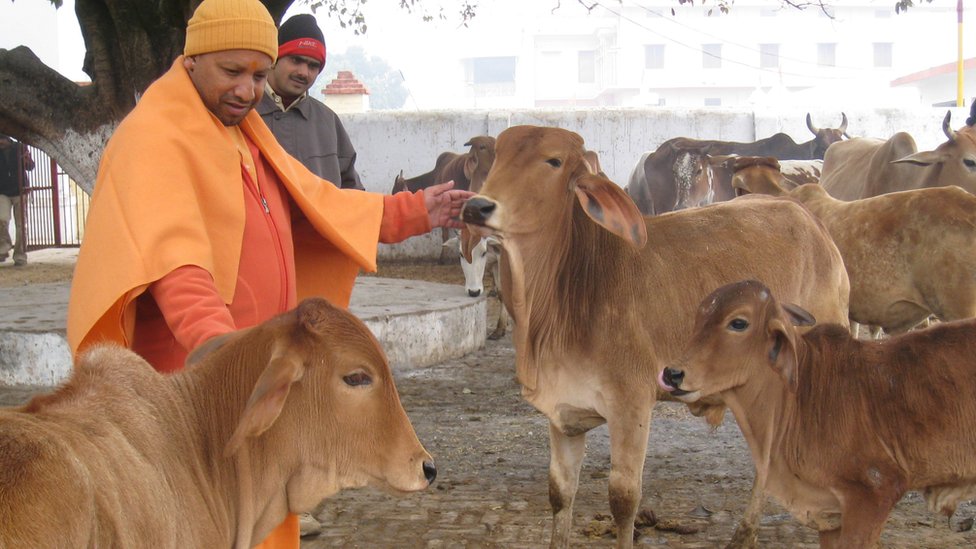 योगी आदित्यनाथ योगी आदित्यनाथ