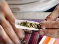 cannabis cannabis
