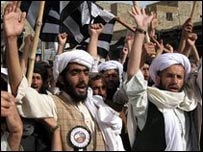 militants militants