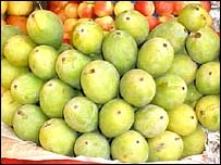 'orange' और 'jungle' में क्या समानता है? 'orange' और 'jungle' में क्या समानता है?