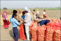 पर्यावरण के लिए बेहतरीन जैविक खेती पर्यावरण के लिए बेहतरीन जैविक खेती