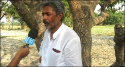 फ़िल्म और राजनीति साथ चलाऊंगा फ़िल्म और राजनीति साथ चलाऊंगा