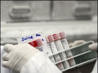 Swine Flu Swine Flu