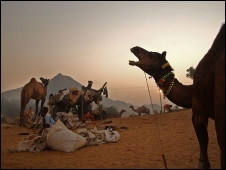 Pushkar Pushkar