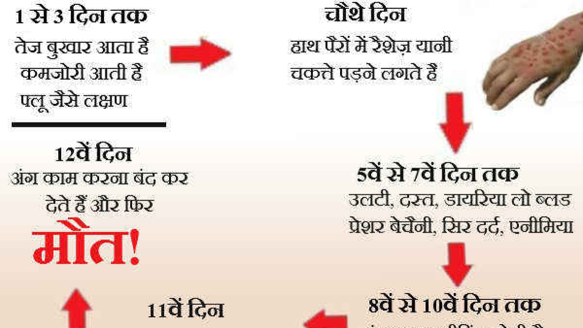 जानिए क्या हैं खतरनाक 'इबोला' के लक्षण, रहें सावधान Know about the symptoms of Ebola virus