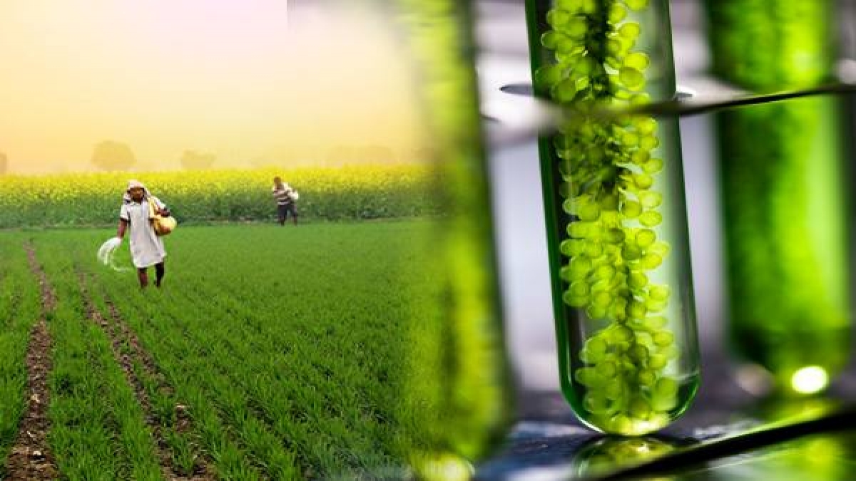 Green Fuel हरित ईंधन क्या होता है, किसानों और पर्यावरण के लिए कैसे है