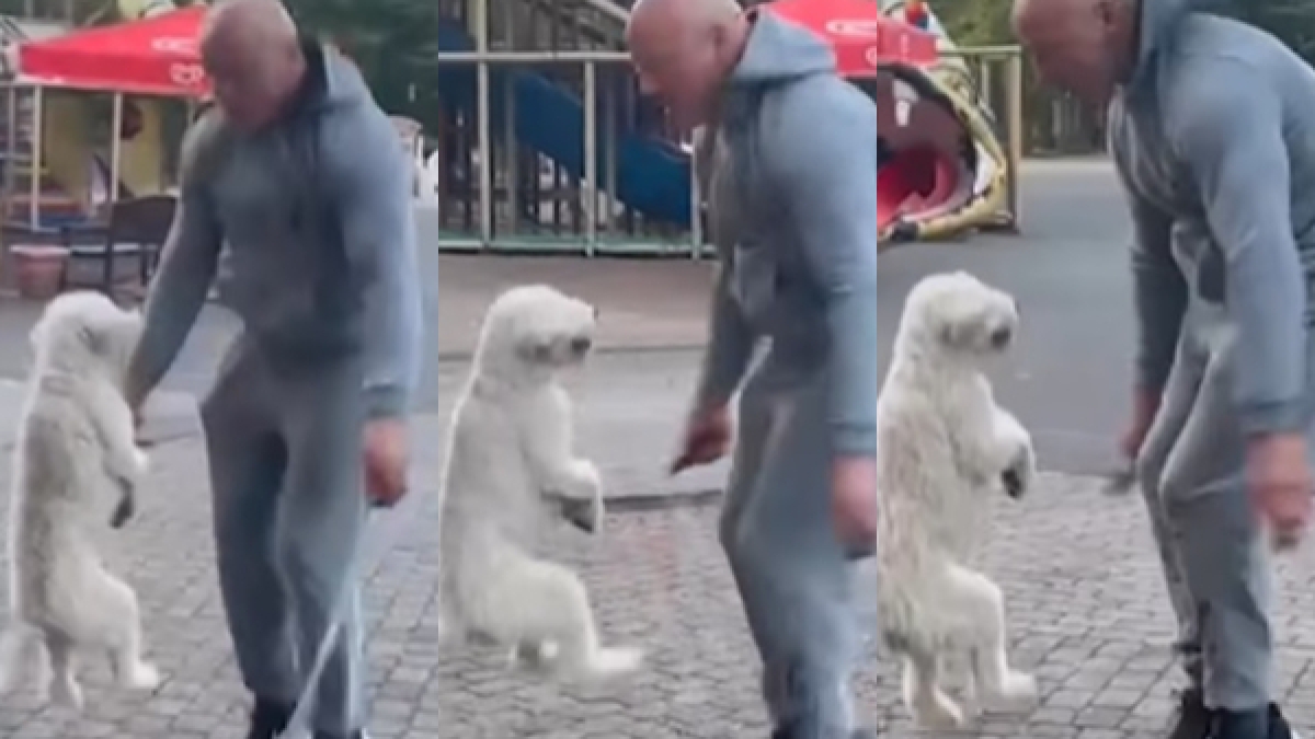 कुत्ते ने मालिक के साथ कूदा रस्सी, दो पैरों से कारनामा दिखाकर बनाया