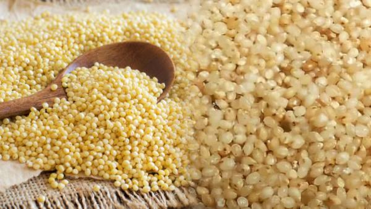 Year of Millets क्या है मिलेट मिशन 2023? क्यों दे रही सरकार इस पर इतना