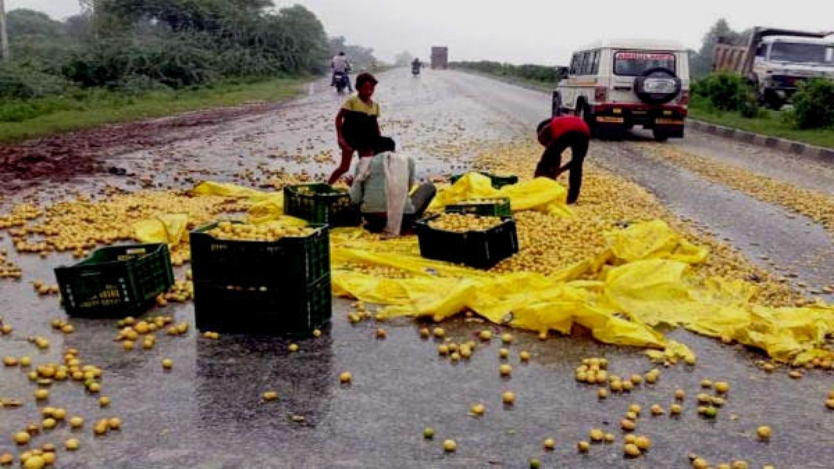 Lemon-filled pick-up overturned on Kota Jaipur National Highway Lemon-filled pick-up overturned on Kota Jaipur National Highway