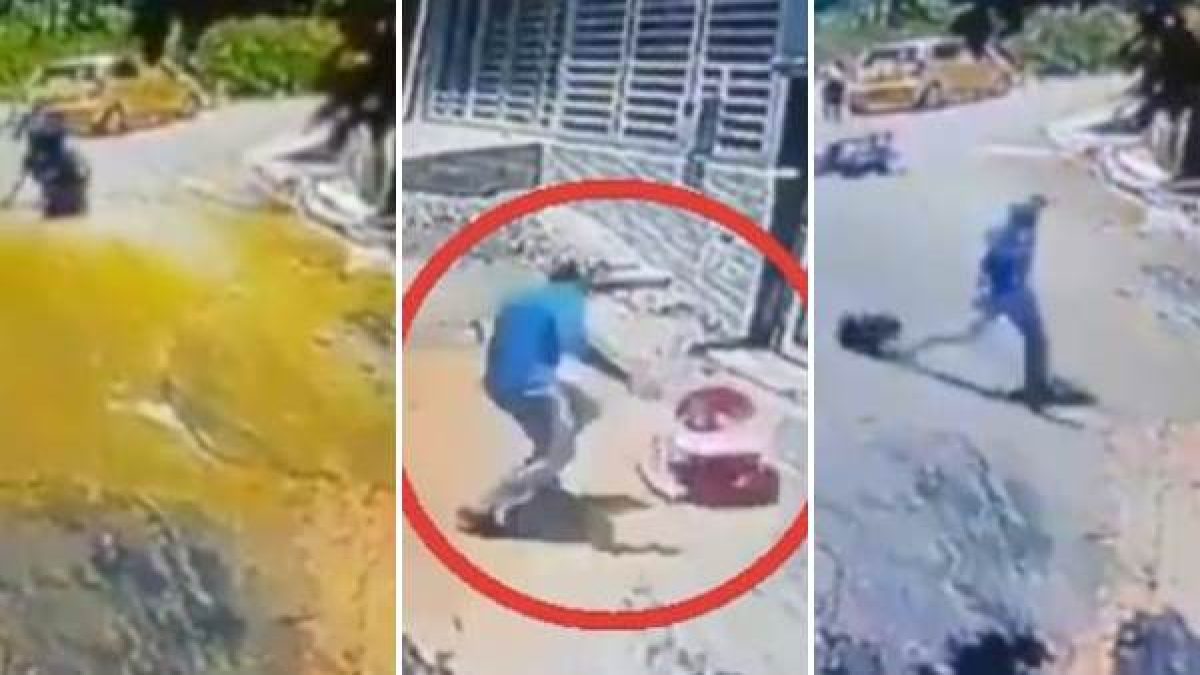 बाइकर की तारीफ कर रहे लोग