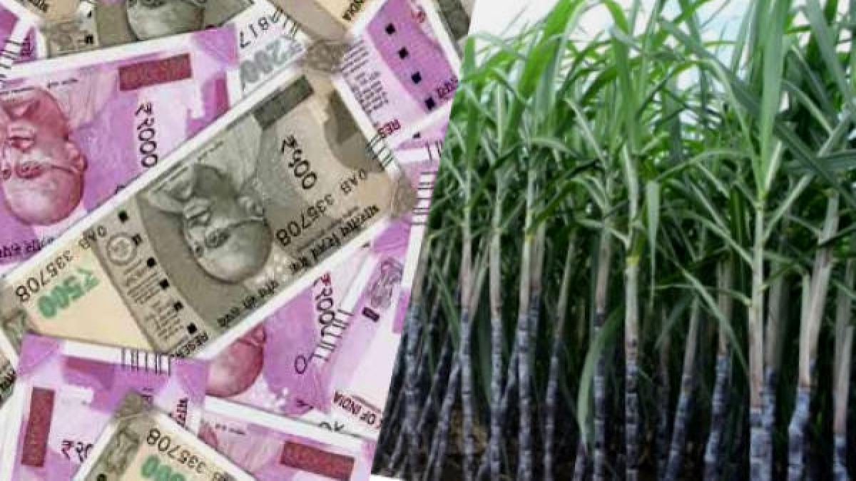 notes of 2000 and 500 found in sugarcane field in kushinagar notes of 2000 and 500 found in sugarcane field in kushinagar