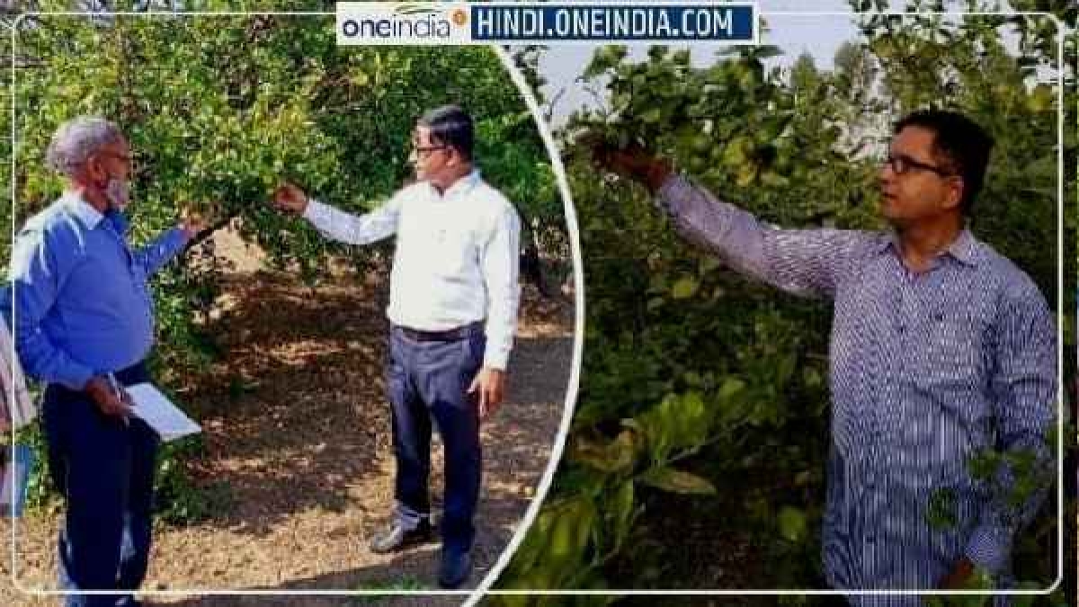 लैमन मैन रायबरेली आनंद मिश्रा