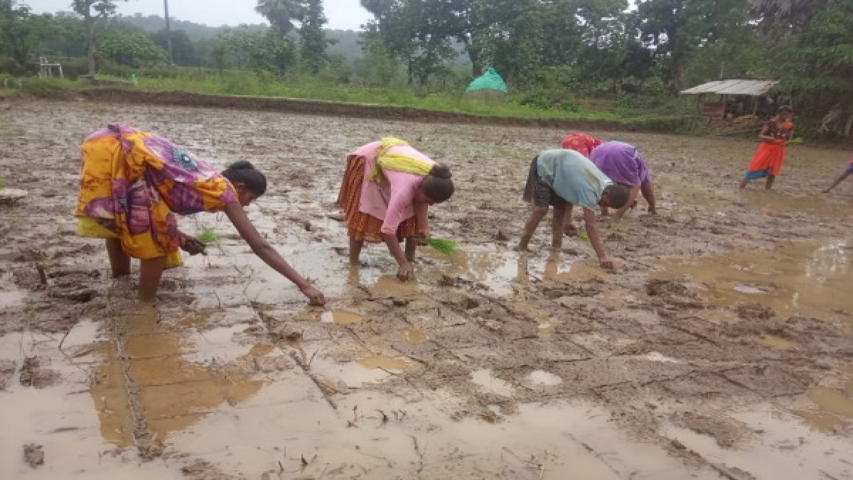 दो दिनों में बारिश को लेकर मांगा गया फीडबैक