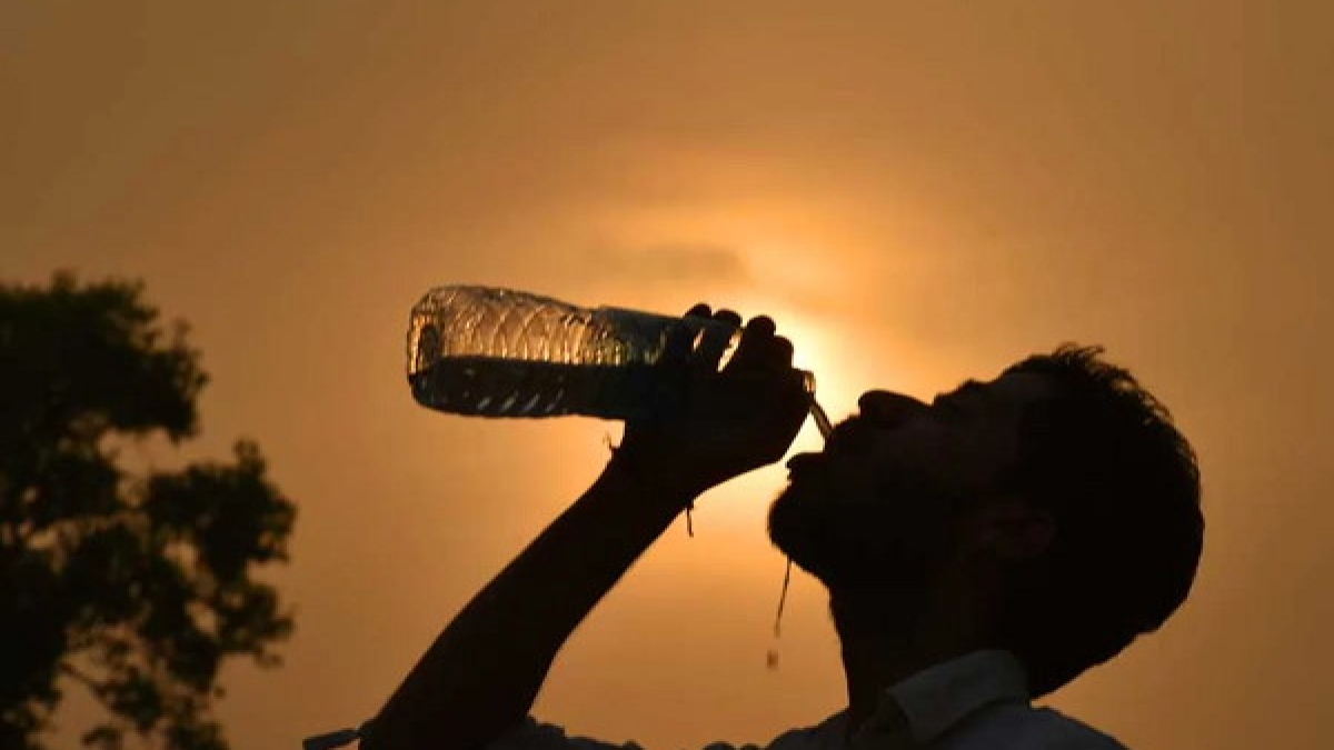 Delhi weather today: The Indian Meteorological Department (IMD) Orange alert, know the current temperature across city Delhi weather today: The Indian Meteorological Department (IMD) Orange alert, know the current temperature across city