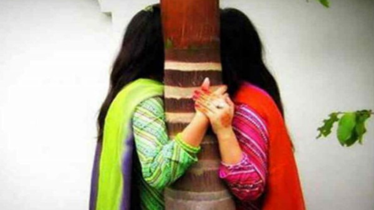 सीनेट में पारित समलैंगिक बिल