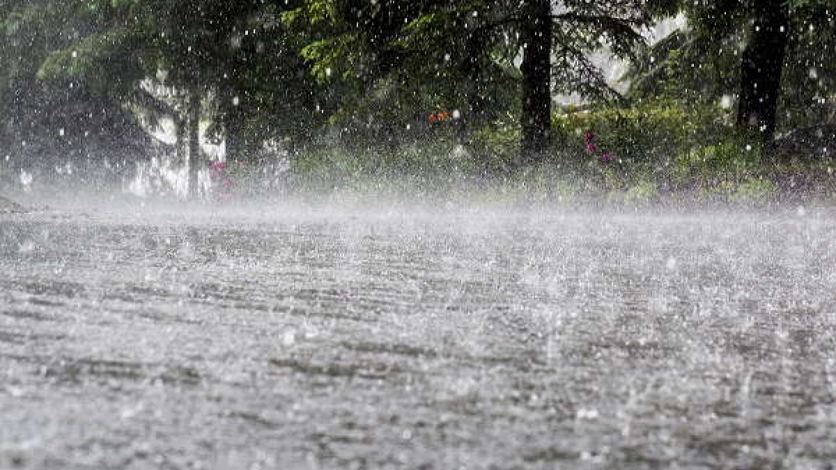 Odisha Rains Odisha Rains
