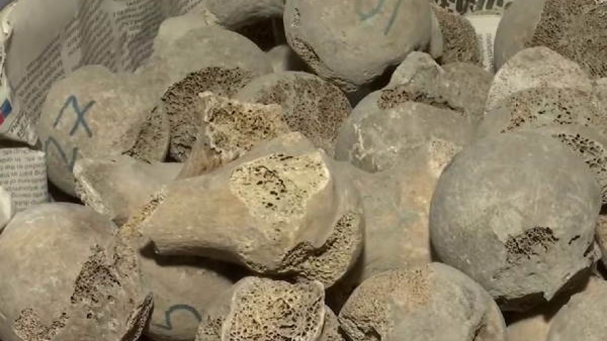 skeletons of 282 Indian soldiers excavated from a well of Punjab, belong to 1857 skeletons of 282 Indian soldiers excavated from a well of Punjab, belong to 1857