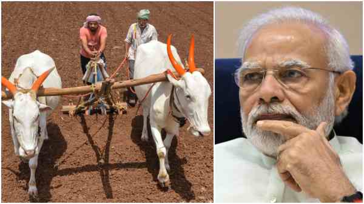 farmer modi farmer modi