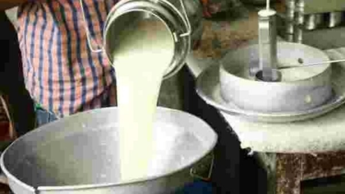In Haryana, cattle farmers will get higher price of milk, increased by Rs 30 on one kg of fat In Haryana, cattle farmers will get higher price of milk, increased by Rs 30 on one kg of fat