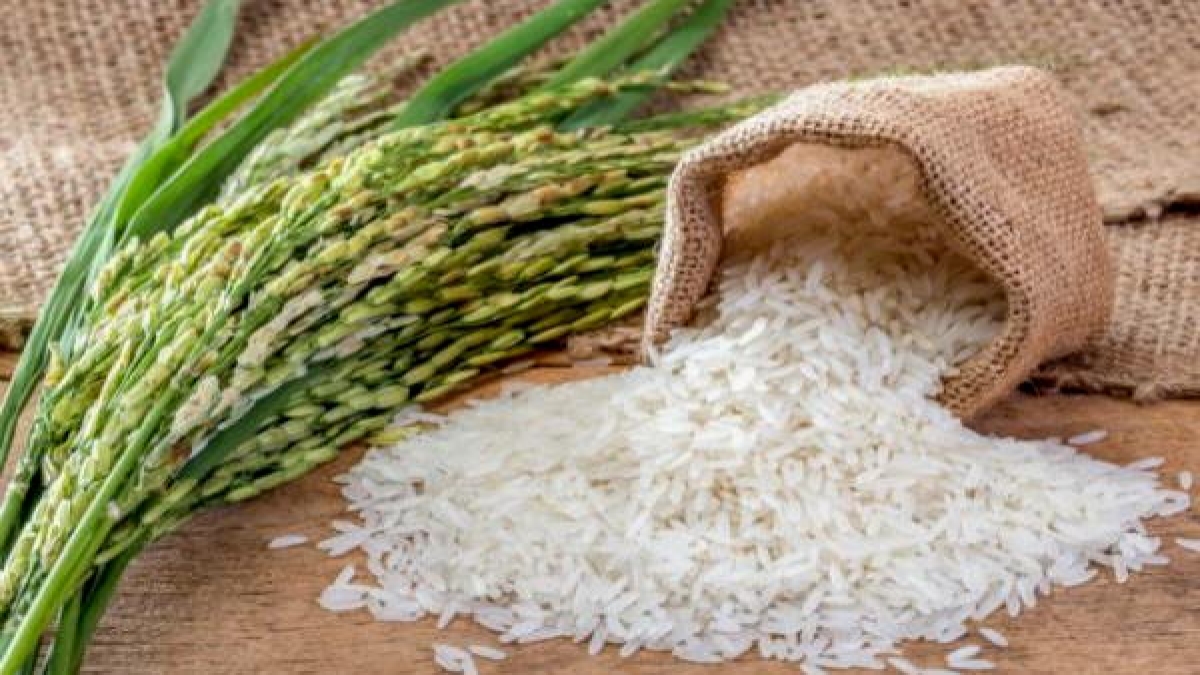 odisha paddy production 71 lakh tonne odisha paddy production 71 lakh tonne