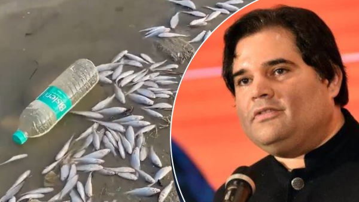 Varun Gandhi targets govt over pollution in Ganga river Varun Gandhi targets govt over pollution in Ganga river