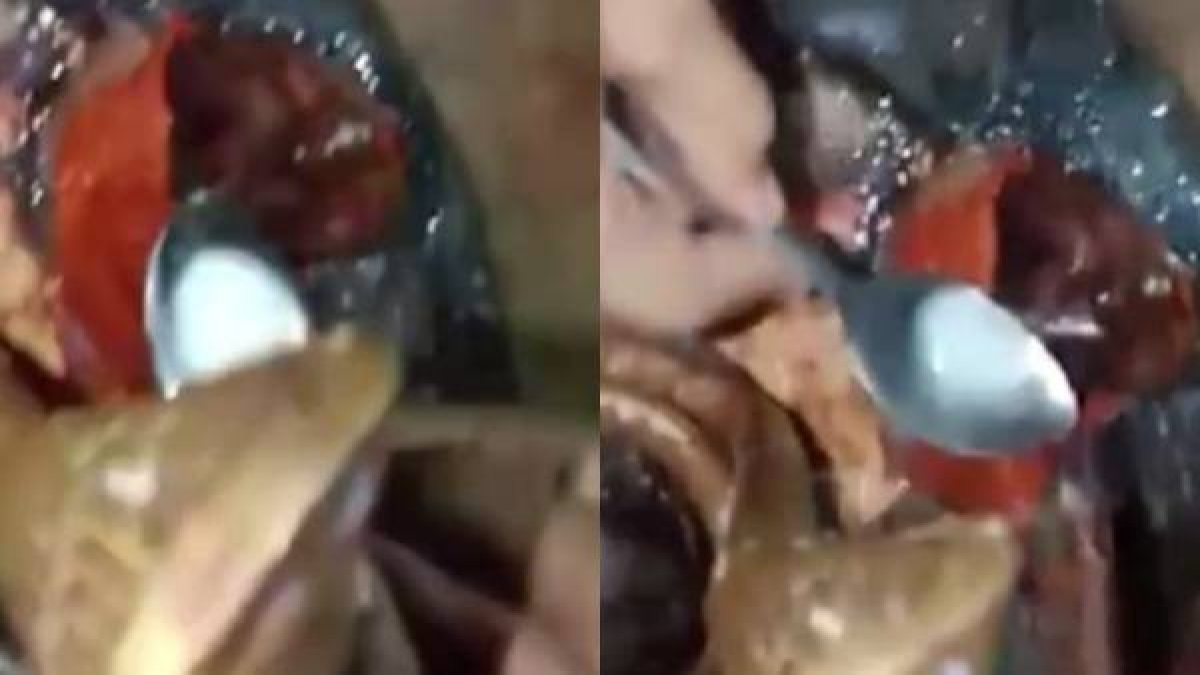 मंदिर में दूध पिलाने की मची होड़