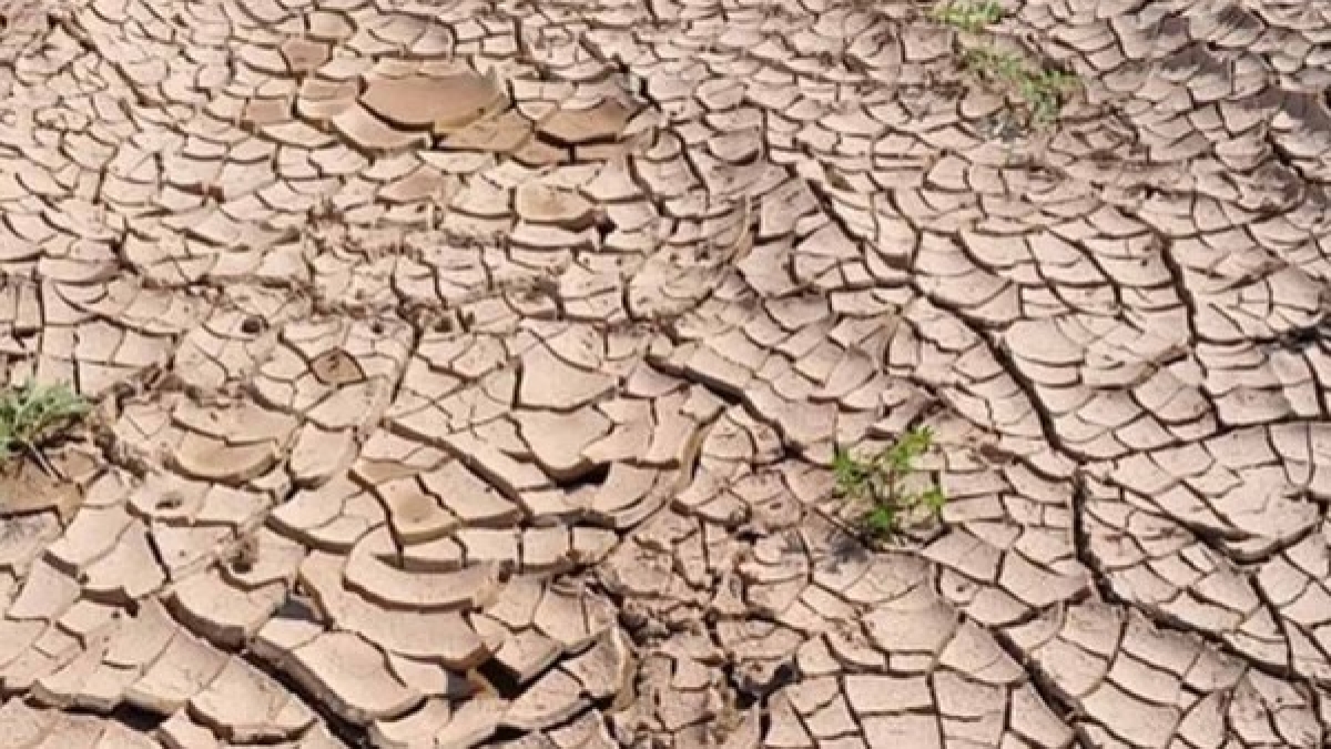 drought drought