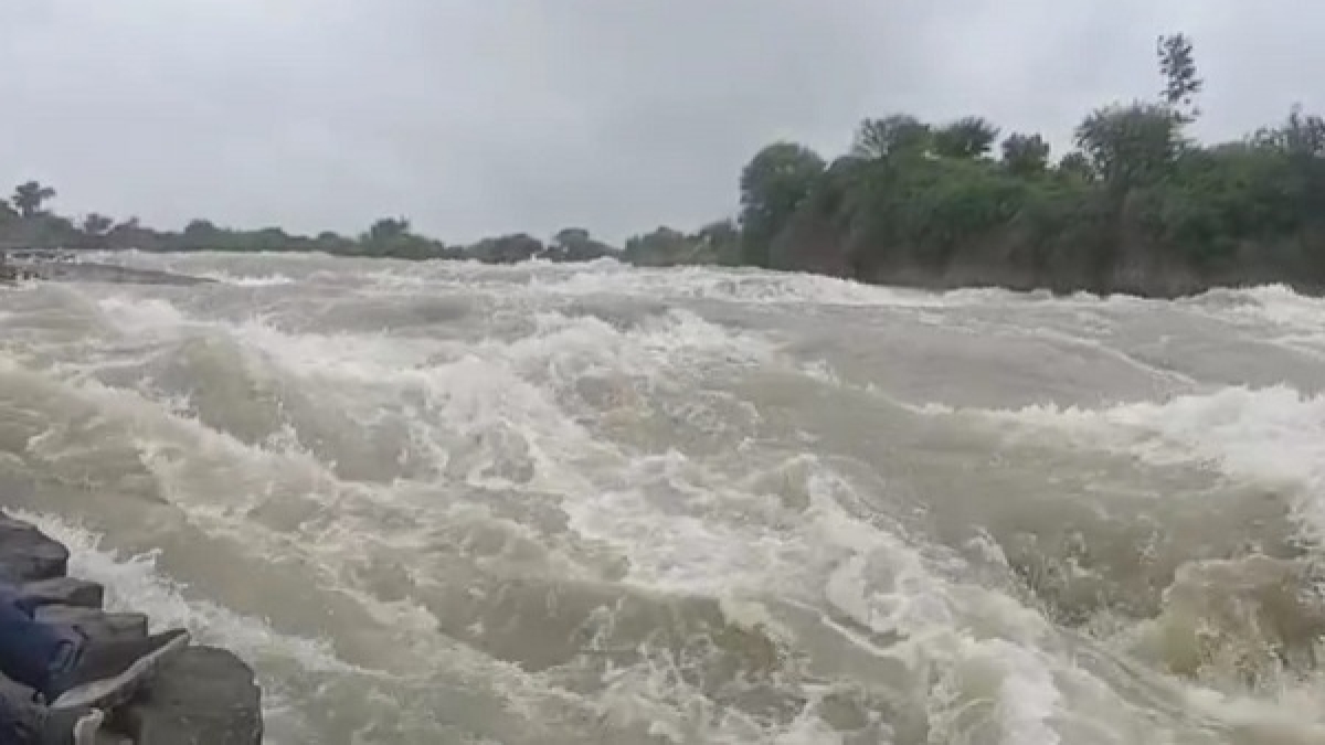 प्रतीकात्मक फोटो प्रतीकात्मक फोटो