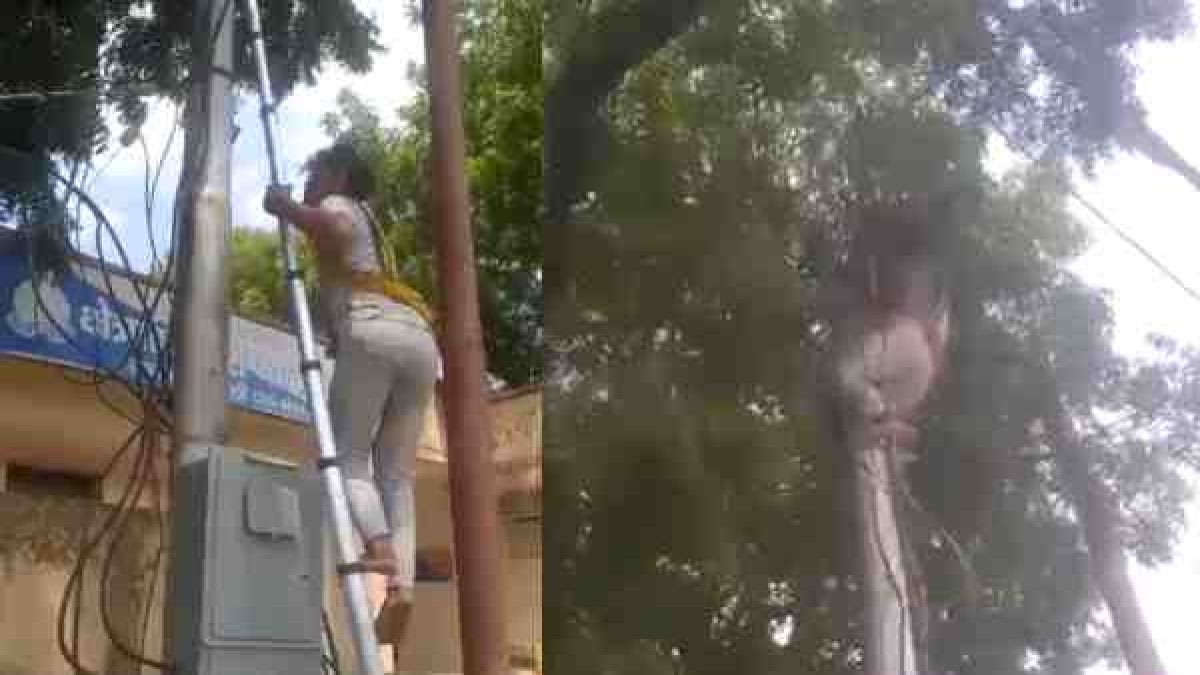 सोशल मीडिया पर वायरल हुआ वीडियो