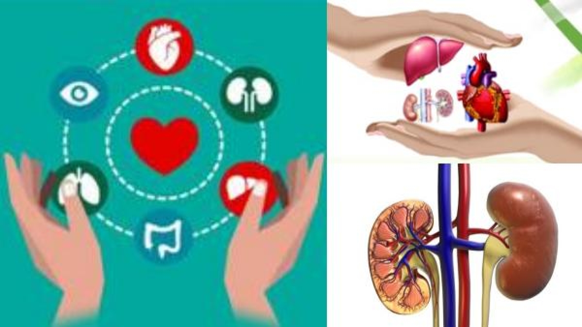 6 लोग ऑर्गन डोनेशन के जरिए बचे