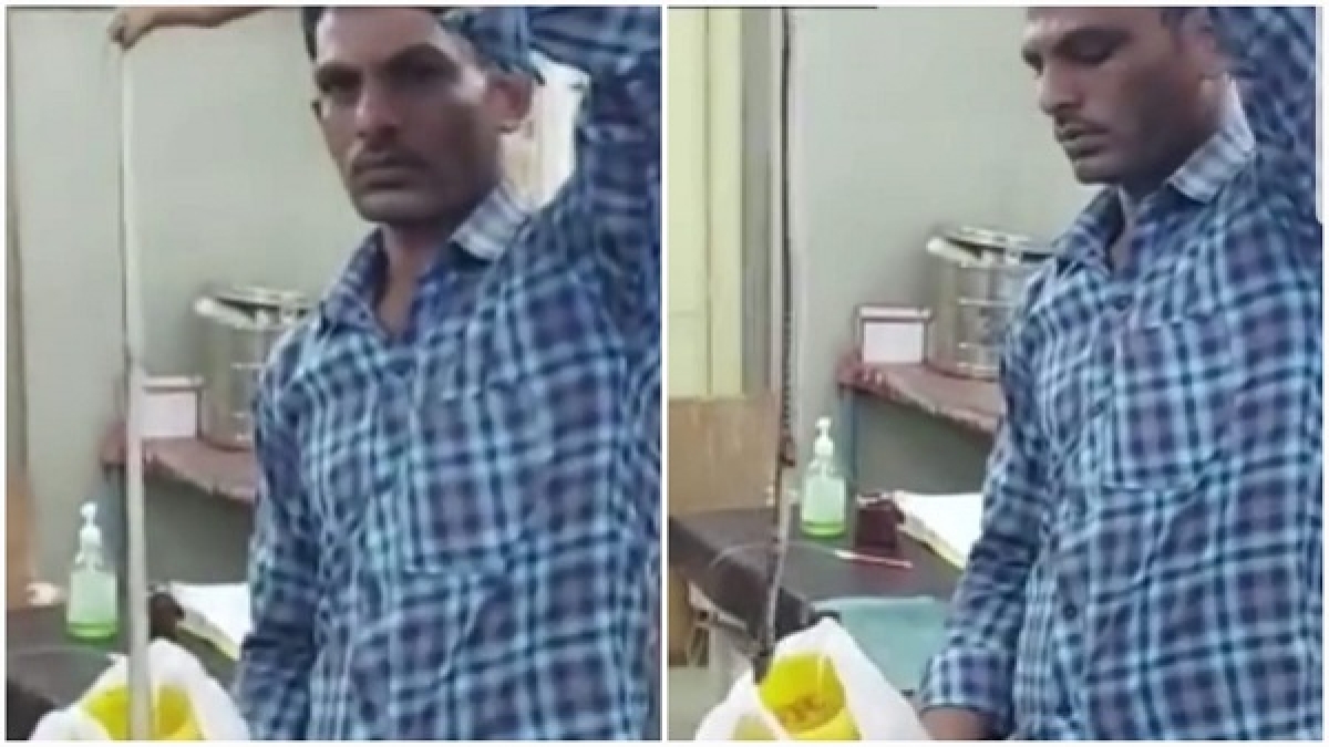 पत्नी को जिस सांप ने काटा, उसे लेकर डॉक्टर के पास पहुंचा पति पत्नी को जिस सांप ने काटा, उसे लेकर डॉक्टर के पास पहुंचा पति