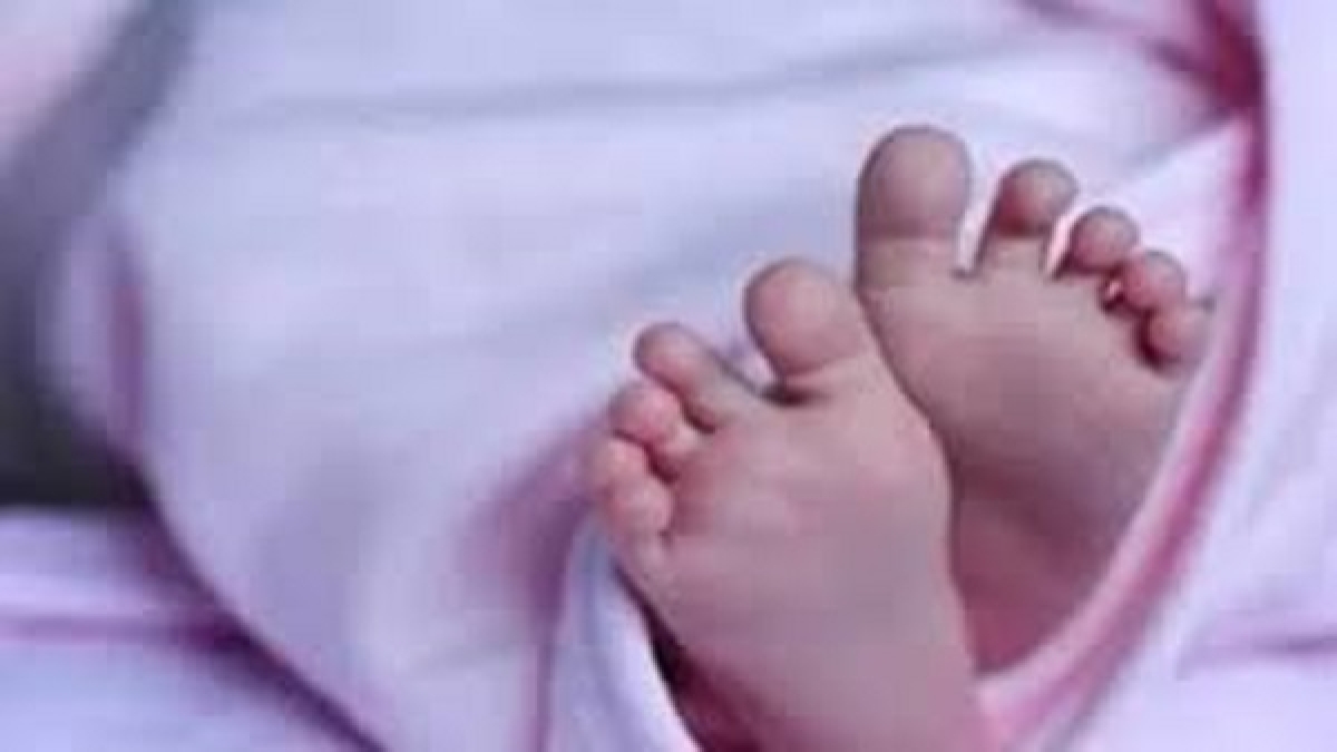 new born baby new born baby