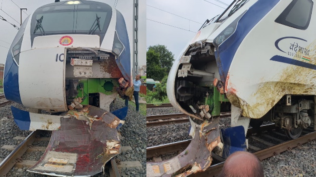 Vande Bharat Accident, train collides with buffaloes damaged the front part of engine Maninagar Vande Bharat Accident, train collides with buffaloes damaged the front part of engine Maninagar