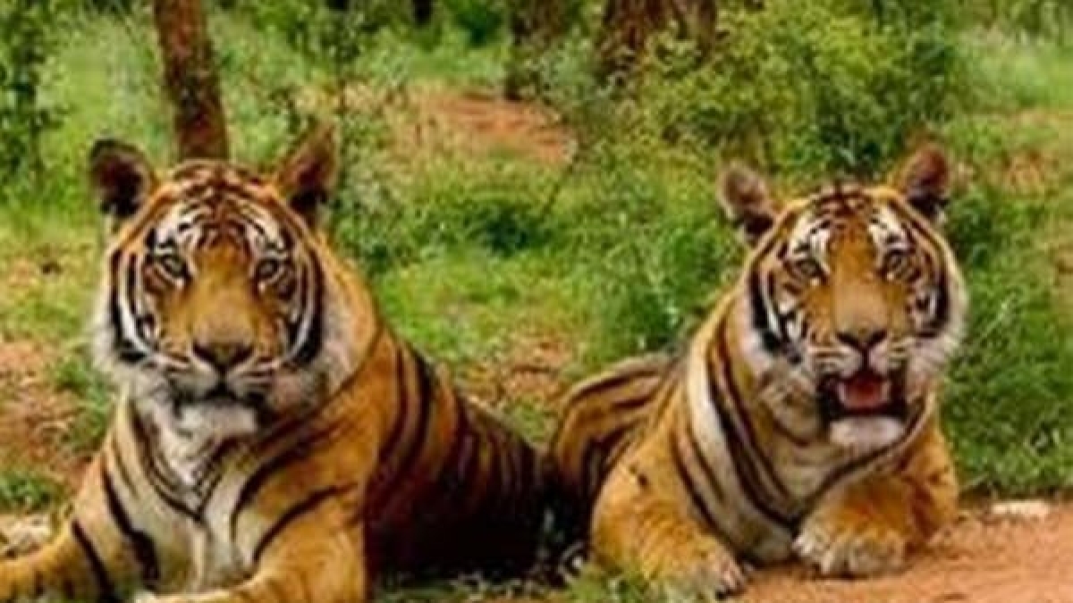 भद्रशिला तालाब किनारे हो रहा मिलन