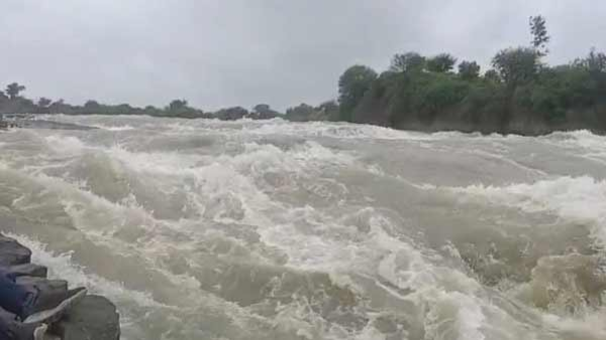 घर से बैंक के लिए निकली थी महिला