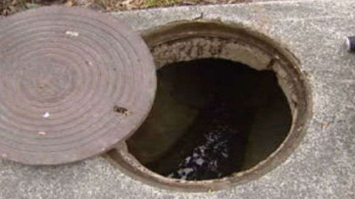 sewer sewer