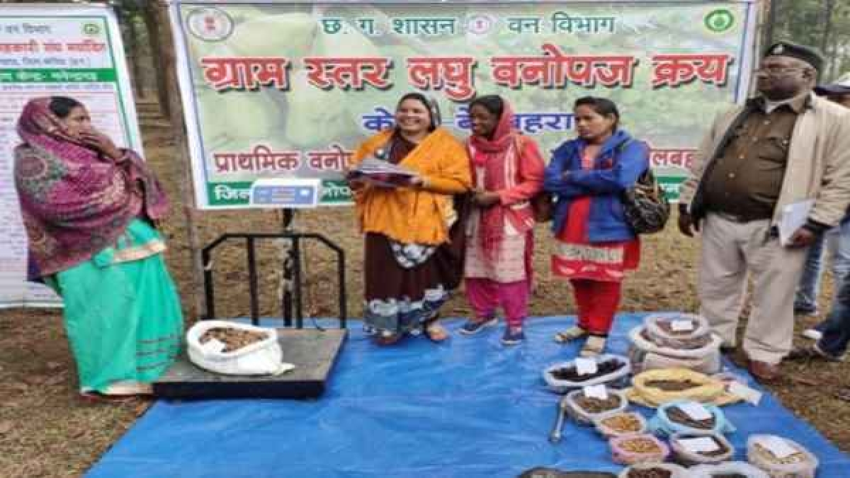कोरिया, मनेन्द्रगढ़ के वनों में प्रचुर मात्रा में है वनोंपज