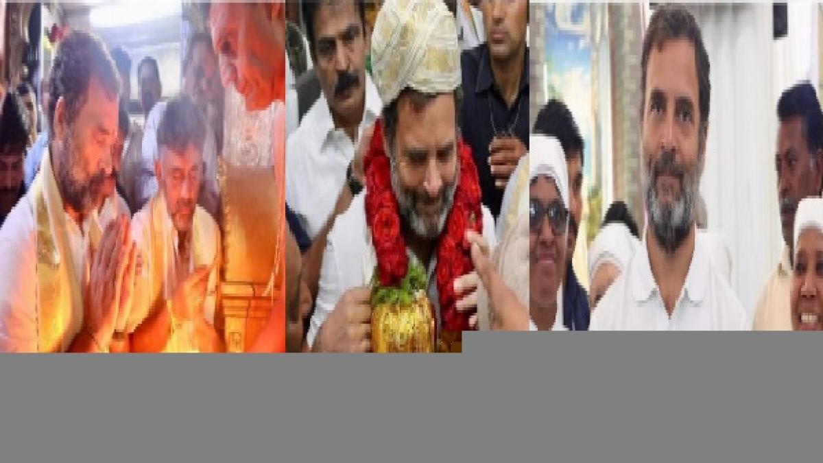 Rahul gandhi Rahul gandhi