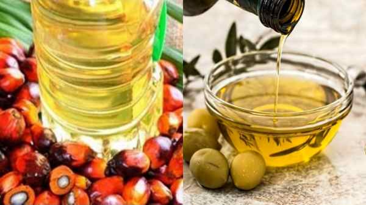 Telangana Palm Oil Telangana Palm Oil
