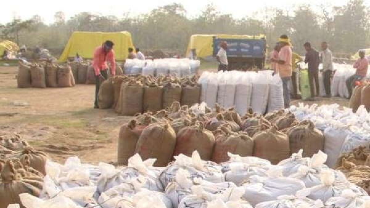 dhan kharidi chhattisgarh 1.jpg dhan kharidi chhattisgarh 1.jpg
